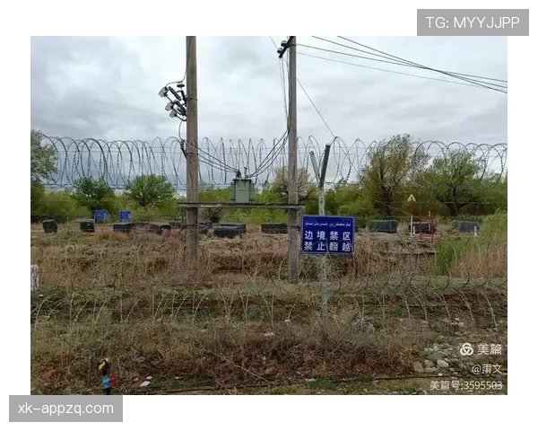 禁区线算不算禁区内？足球规则中如何界定边界判罚